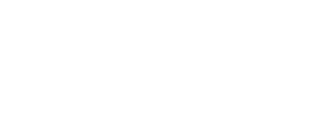 Liderazgo Académico