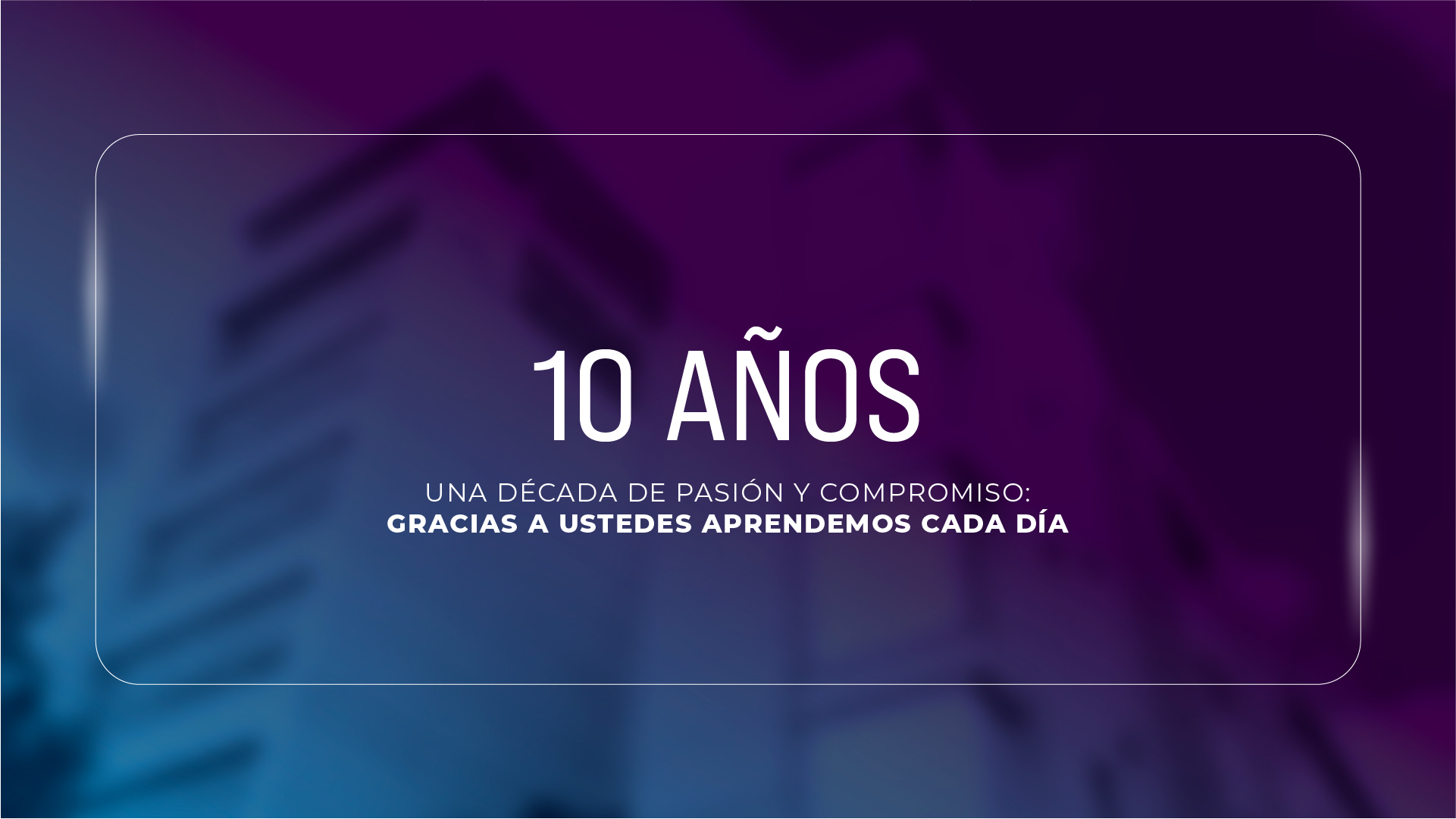 Imagen 6