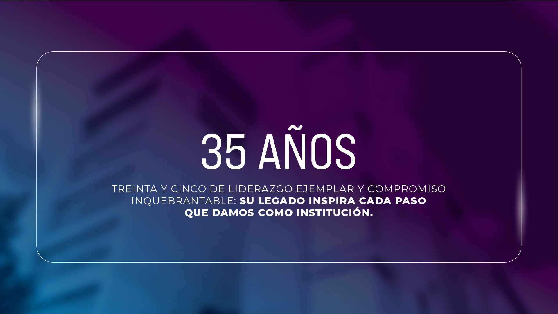 Imagen 15