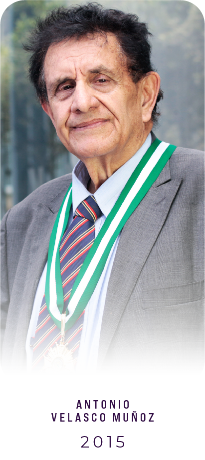 Maestro 2015