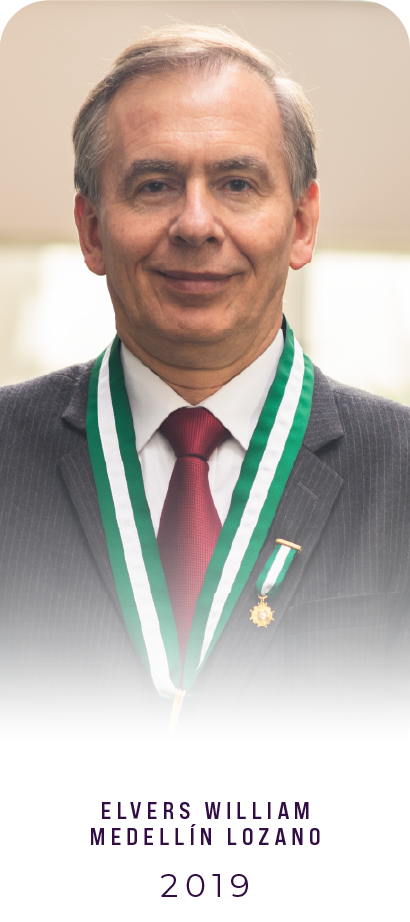 Maestro 2019