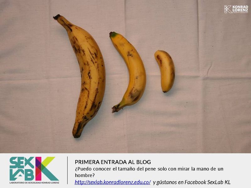 Tamaño del pene y la mano